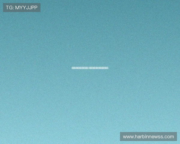 免费手机考勤表软件推荐 提升企业考勤管理效率的利器