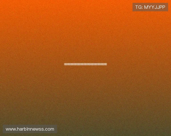 樊振东最新一战强势回归技术稳定性与冠军气质再度彰显赛场统治力